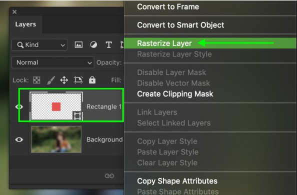 rasterlize layer