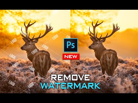 How to remove watermark with Photoshop