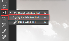 Select the subject with the Quick Selection Tool .