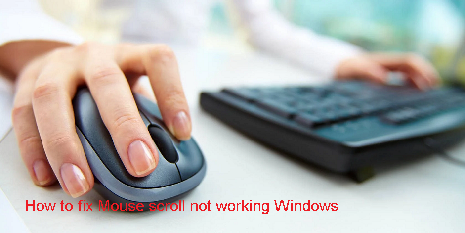 How to fix Mouse scroll not working Windows