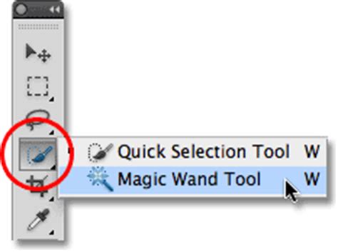 select the Quick Selection Tool