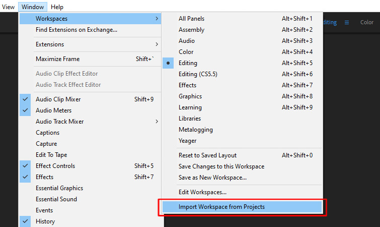 Disable imported workspaces