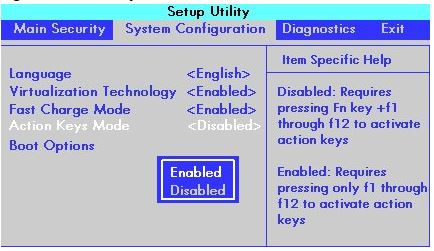 Make modifications in the BIOS