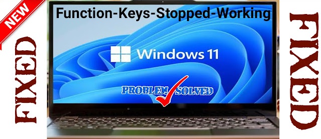 Windows 11 Fn key not working