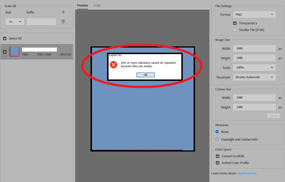 Fix One or more selections cannot be exported because they are empty